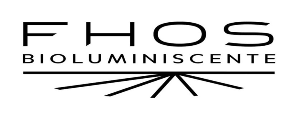 Diseño sin título - 4